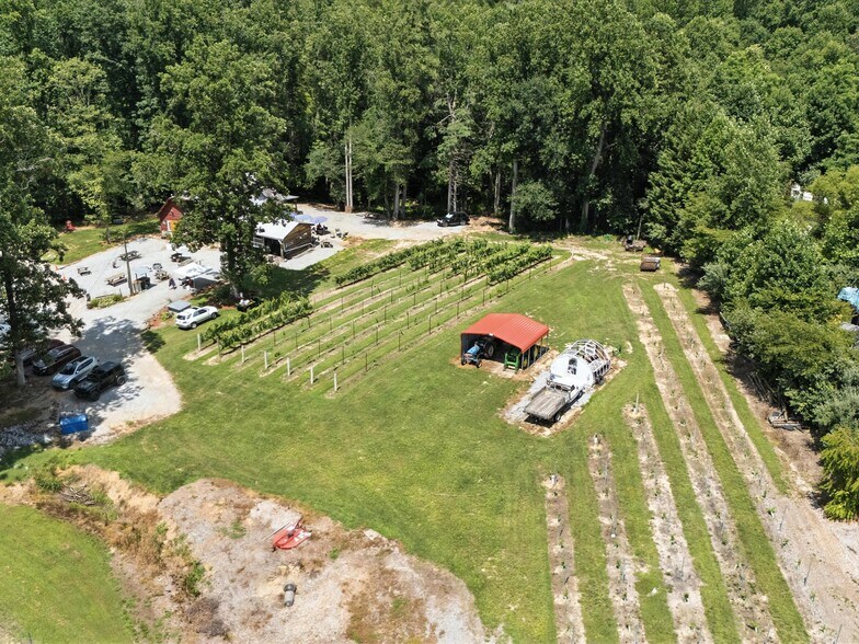 More Photos Of 124 Sandy Hill Ln, Hendersonville Winery Vineyard For Sale