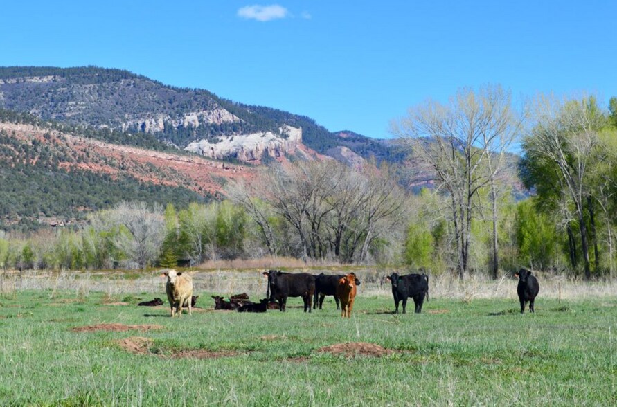More Photos Of 1322 Animas View Dr, Durango Land For Sale