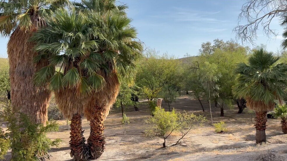 More Photos Of 160 +/- Acres Juanita Springs Ranch, Bunkerville Land For Sale