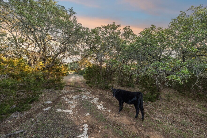 More Photos Of 678 Ammann Road, Bulverde Land For Sale
