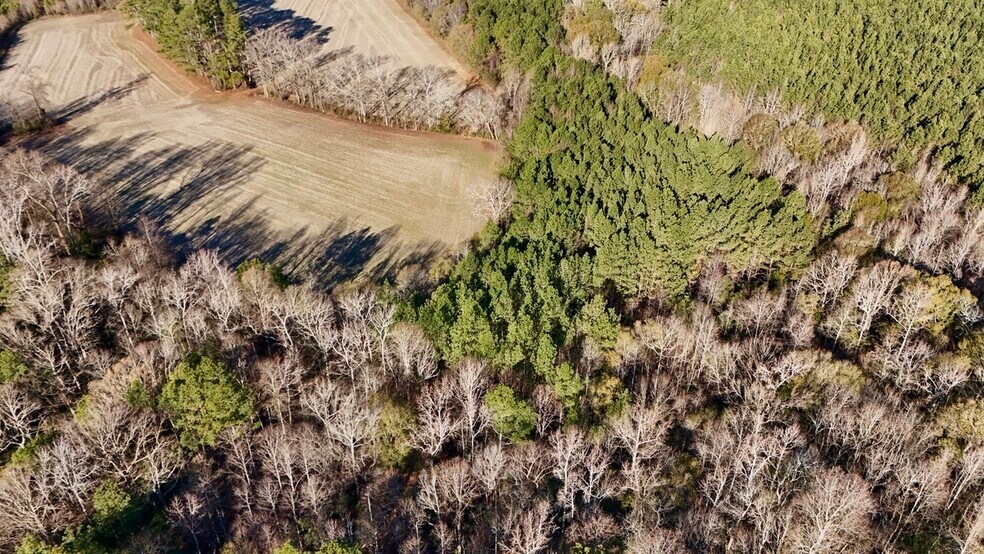 More Photos Of US Highway 301 N, Micro Land For Sale