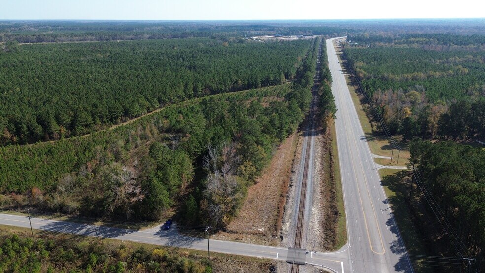 Primary Photo Of 1044 Georgia Pacific rd, Alcolu Land For Sale