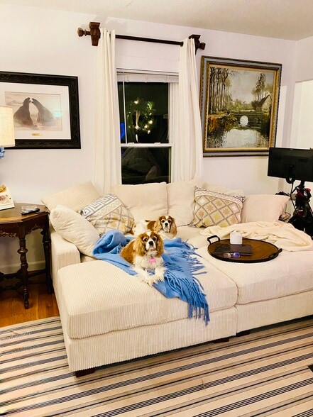 More Photos Of 51 Pearl St, Guilford Apartments For Sale