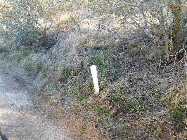 More Photos Of 34679 Old Highway 80, Pine Valley Land For Sale