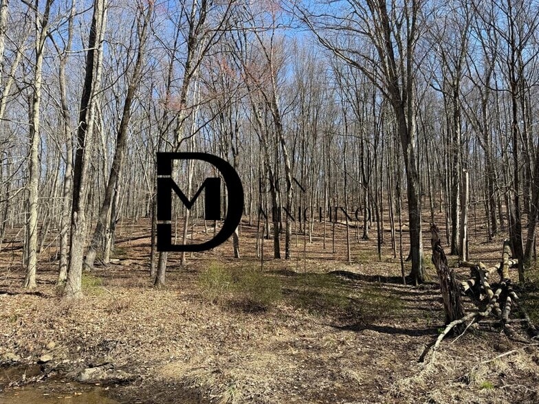 More Photos Of 17 Old Bethel Rd, Newtown Land For Sale