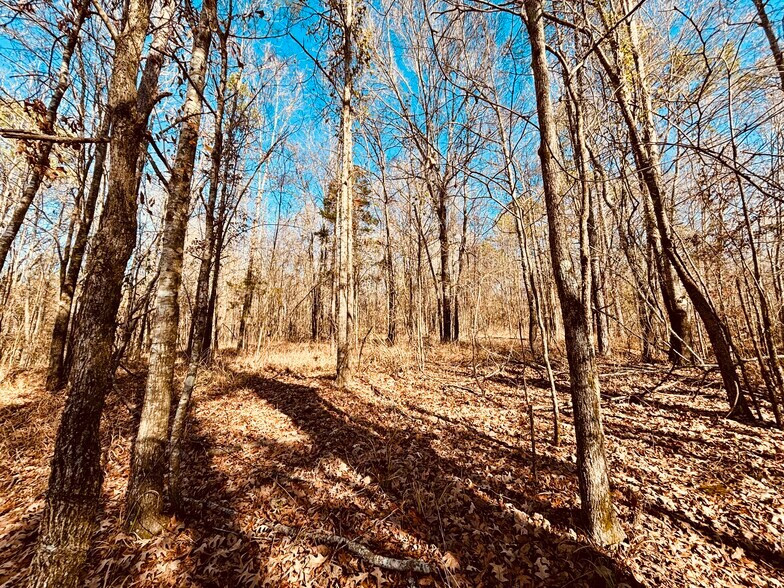 More Photos Of MS Highway 12, Durant Land For Sale