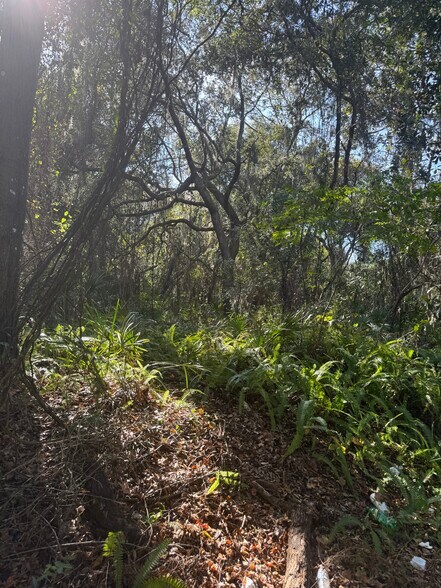 More Photos Of Franklin St, Oviedo Land For Sale