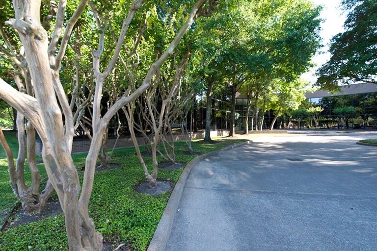 More Photos Of 12727 Featherwood Dr, Houston Medical For Sale