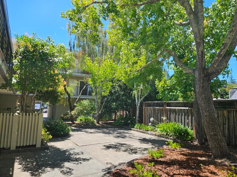 More Photos Of 138 Tunstead Ave, San Anselmo Apartments For Sale