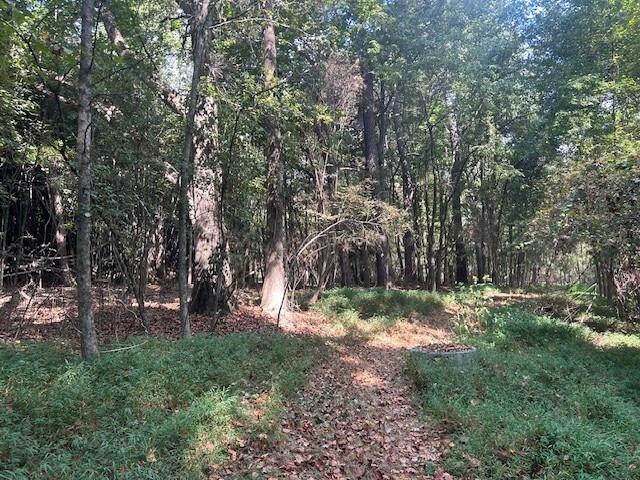 More Photos Of 4349 Abbotts Bridge Rd, Duluth Land For Sale