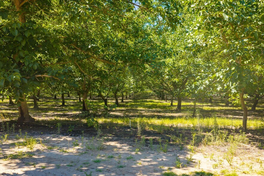 More Photos Of 24608 Yosemite, Waterford Land For Sale