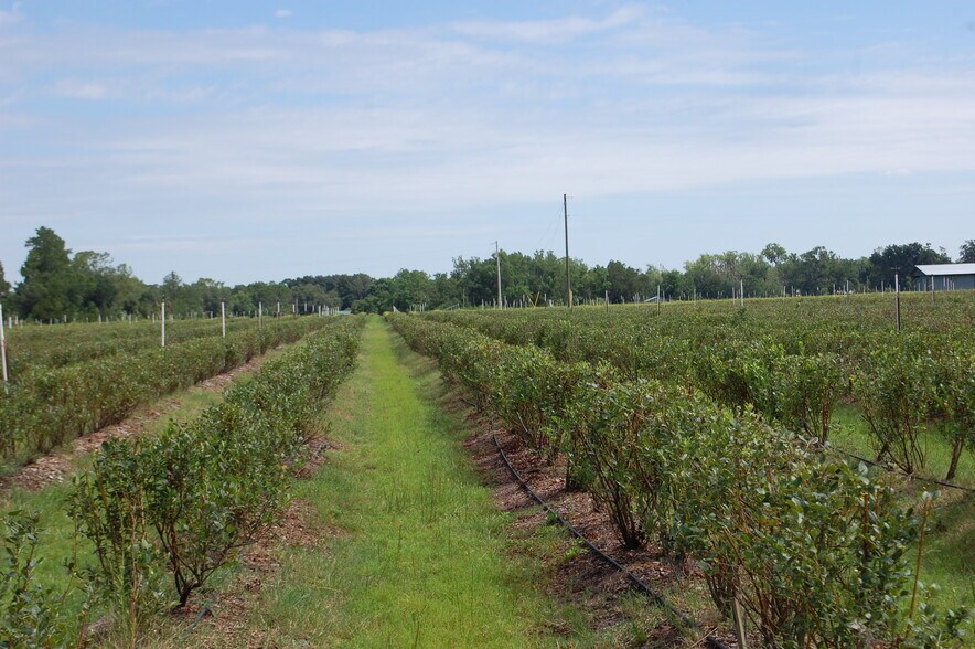 More Photos Of 18811 SE 243rd St, Hawthorne Specialty For Sale