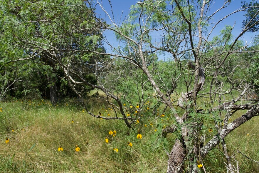 More Photos Of 00 Taylorsville Rd, Red Rock Land For Sale