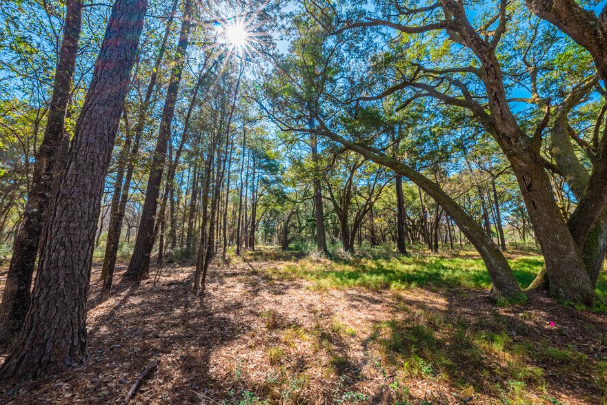 More Photos Of 0 King Rail Lane, Edisto Island Land For Sale