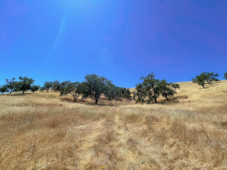 More Photos Of 0 E. 41 Hwy, Templeton Land For Sale