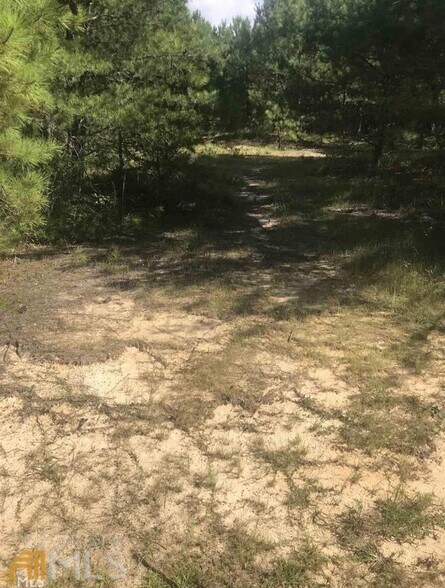 More Photos Of 00 Shannon Pky, Union City Land For Sale