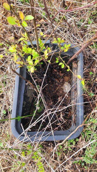 More Photos Of 1019 Chancellors Ferry Loop, Harpersville Land For Sale