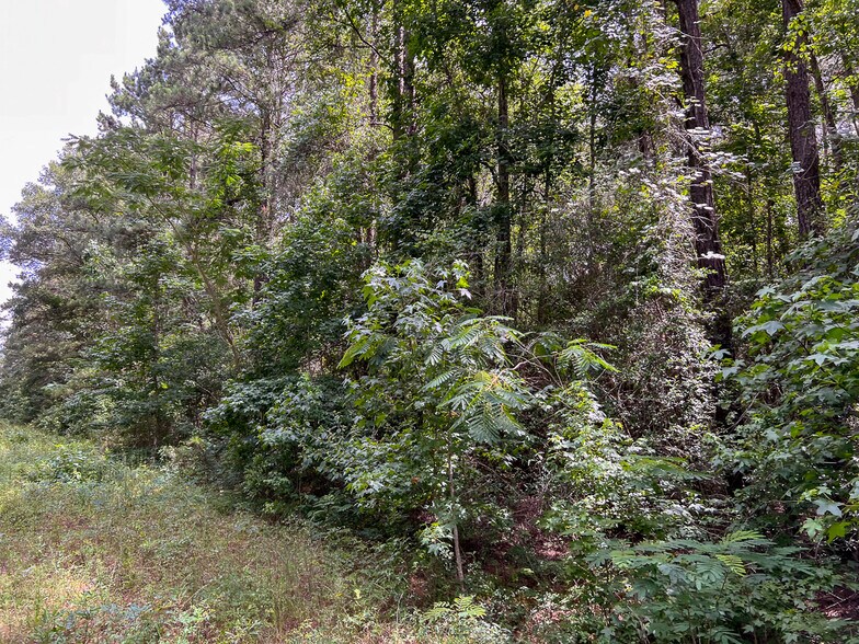 More Photos Of Tommy Smith Road, Conroe Land For Sale