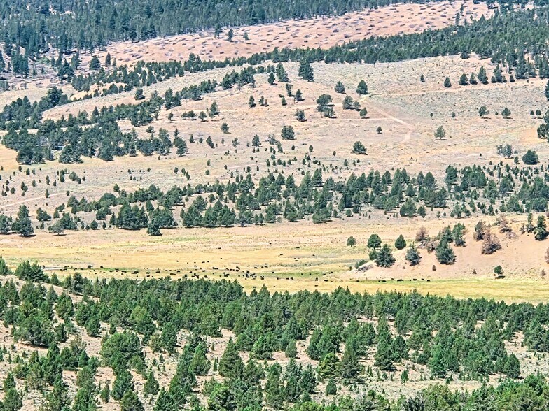 More Photos Of 32611 Tackman Rd, Prineville Land For Sale