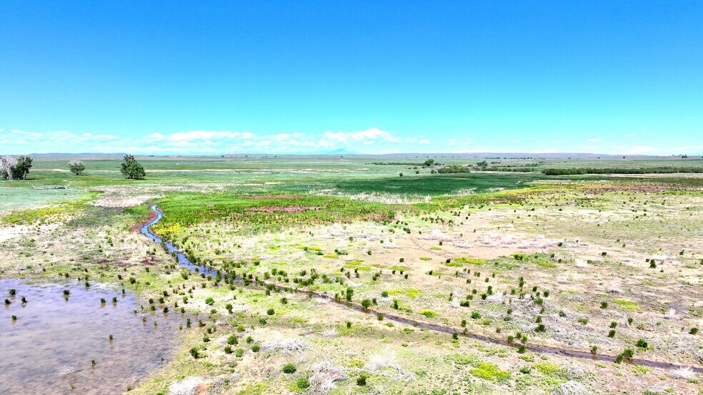 More Photos Of 48999 County Road 48, Model Land For Sale