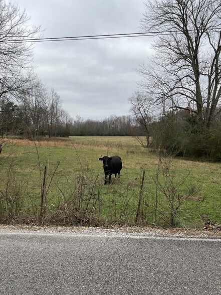 More Photos Of 3203 Lee Seminary Rd, Cookeville Land For Sale