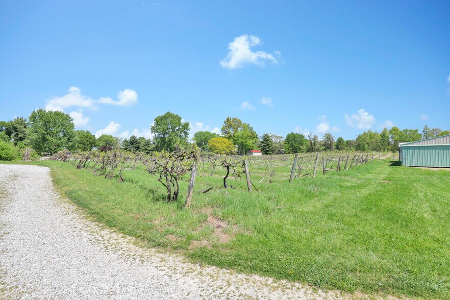 More Photos Of 1900 Winchester Southern Rd, Canal Winchester Winery Vineyard For Sale