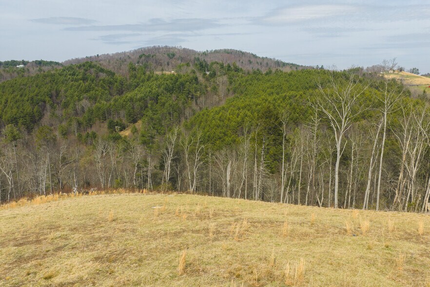 More Photos Of TBD Carsonville Road, Independence Land For Sale