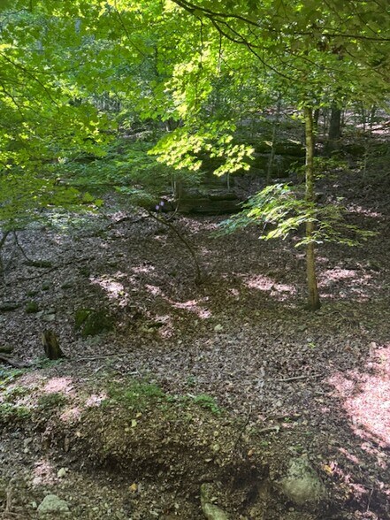 More Photos Of 190 Edgewater Dr, Eureka Springs Land For Sale
