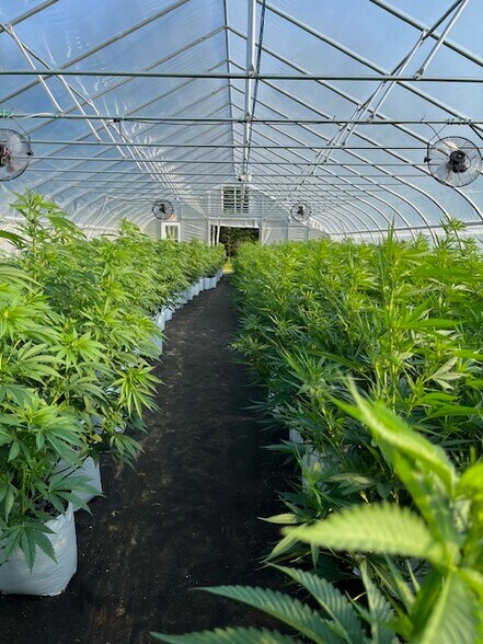 More Photos Of 6810 Sheridan Rd, Vassar Warehouse For Sale