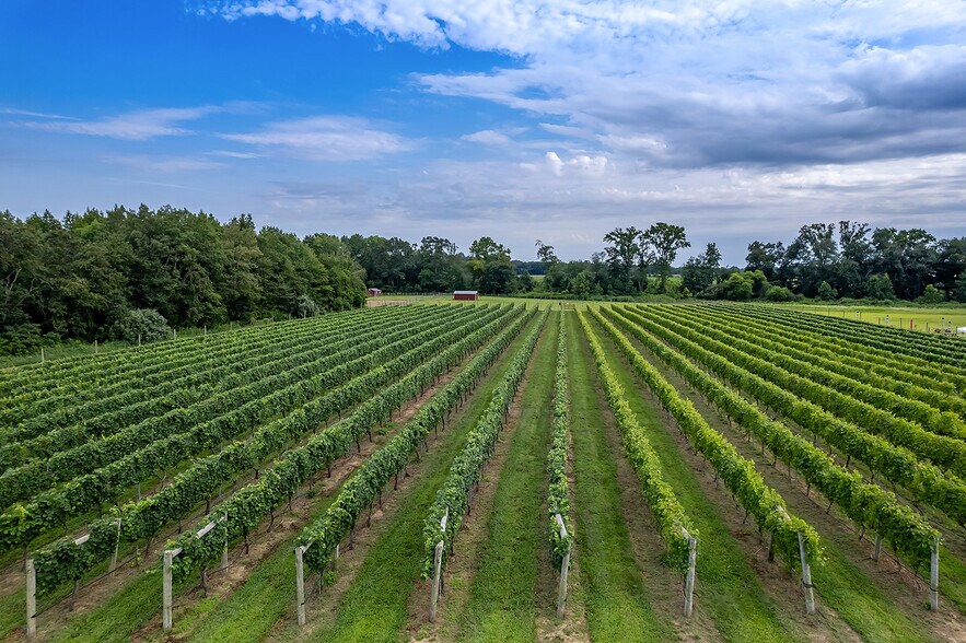 More Photos Of 314 Richwood Rd, Monroeville Winery Vineyard For Sale