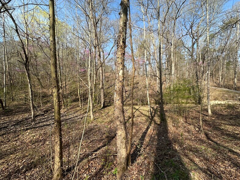 More Photos Of 7312 Highway 60, Georgetown Land For Sale