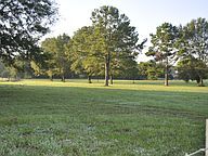 More Photos Of 130 Rowan Rd, Ellenwood Land For Sale