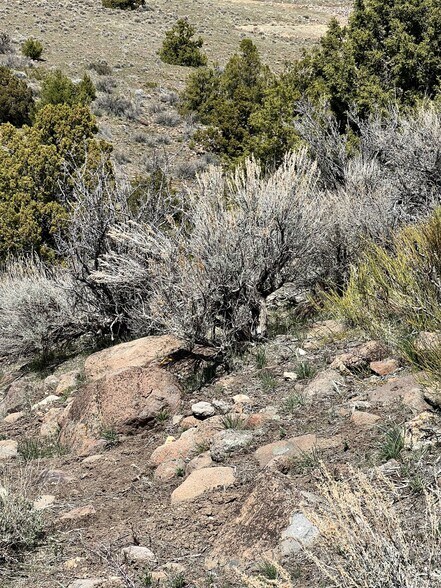 More Photos Of 4387 Sharps Rd, Reno Land For Sale