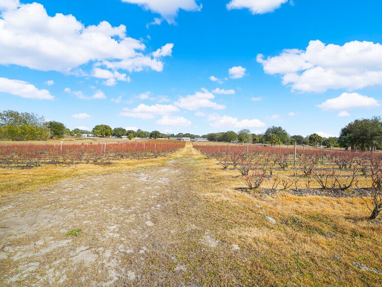 More Photos Of 3510 Walk in Water Rd, Lake Wales Winery Vineyard For Sale