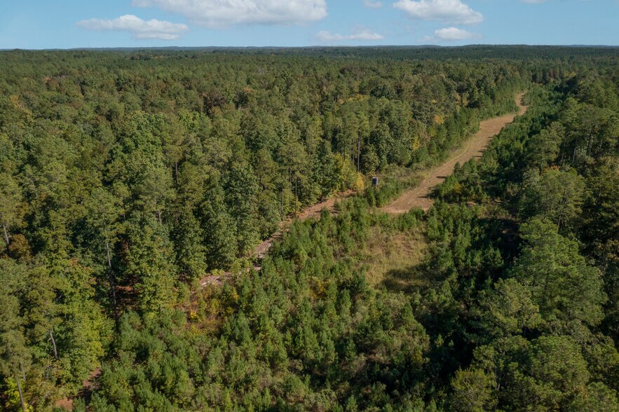 More Photos Of Walter Bright Road & 15-501, Sanford Land For Sale