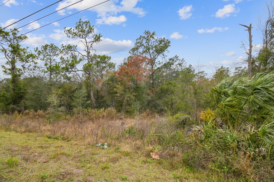 More Photos Of 0 Sunshine Grove Rd, Brooksville Land For Sale
