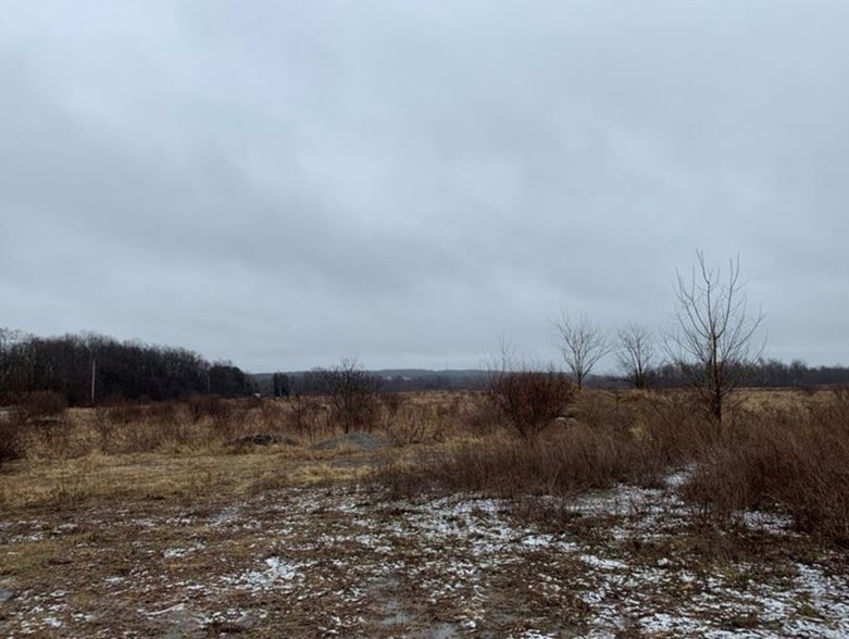 Primary Photo Of Baird Rd, Edinburg Land For Sale