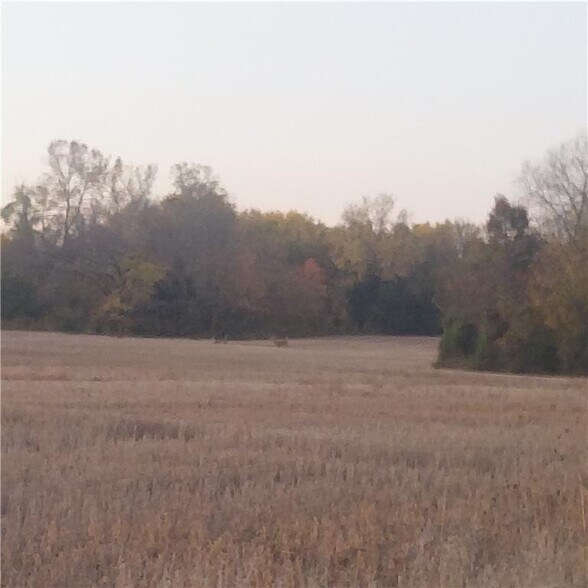 Primary Photo Of E 315th St, Drexel Land For Sale