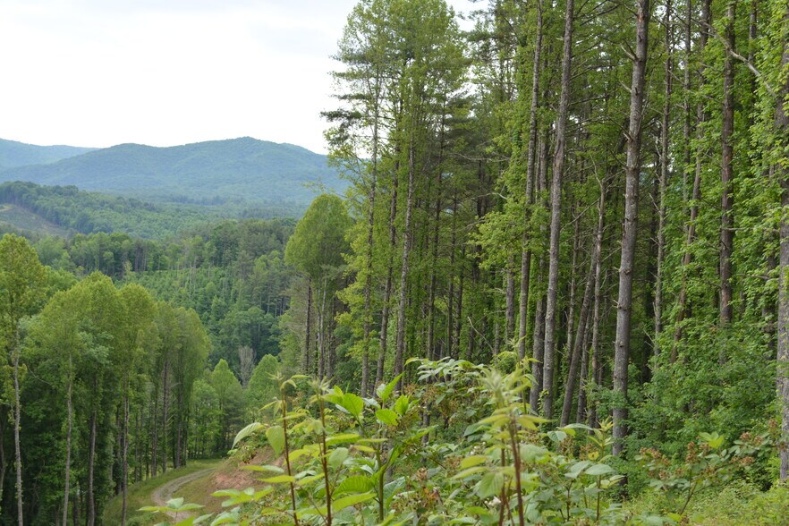 More Photos Of 6421 Highway 91 N, Laurel Bloomery Warehouse For Lease