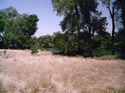 More Photos Of Rupert Rd, Anderson Land For Sale