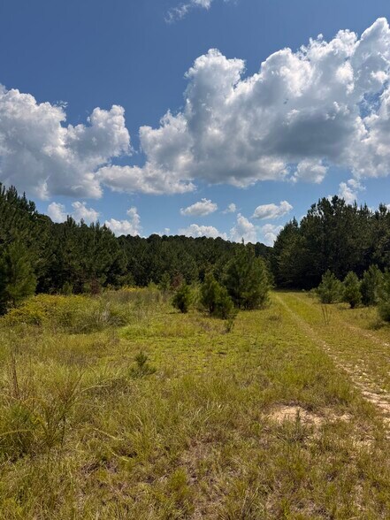 More Photos Of 333 Samuel Dr, Springfield Land For Sale