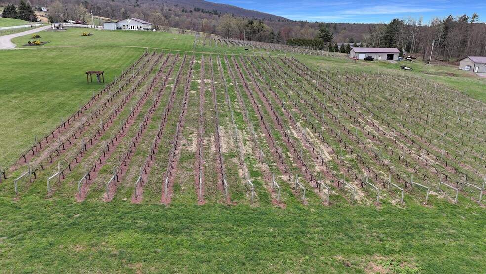 More Photos Of 596 Harman Rd, Halifax Winery Vineyard For Sale