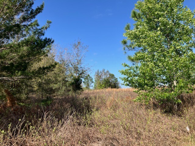 More Photos Of 1083 Obrien Point, Lecanto Land For Sale