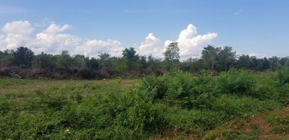 More Photos Of Vacant Land On Fort Collier Road, Winchester Land For Sale