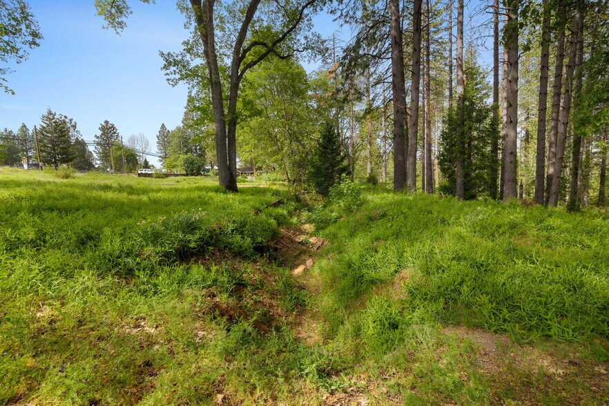More Photos Of 3435 Carson Rd, Camino Land For Sale