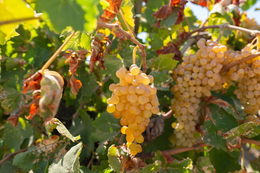 More Photos Of 567 N Grantland Ave, Fresno Land For Sale