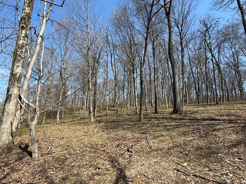 More Photos Of 0 Kragel Rd, Wintersville Land For Sale