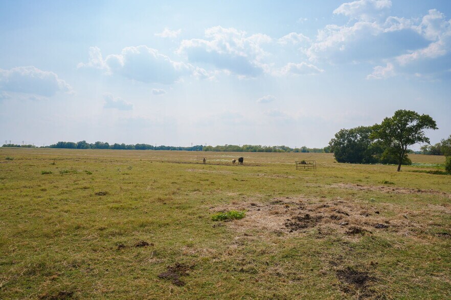 More Photos Of TBD 40 Acres Highway 69 Bells Texas 75414, Bells Land For Sale