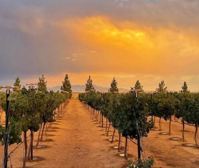 More Photos Of 6927 E Brooks Blvd, Kingman Winery Vineyard For Sale