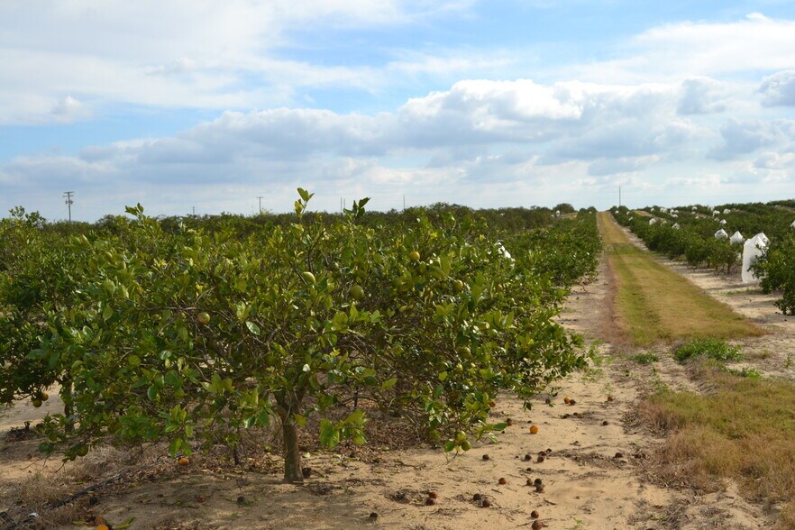 Primary Photo Of Scenic Highway, Babson Park Land For Sale